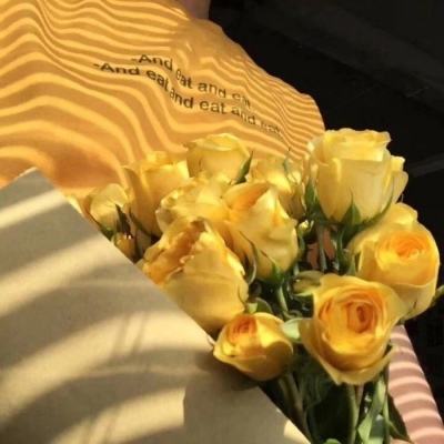 im电竞官方官网